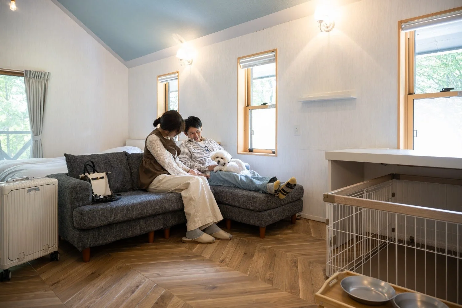カップルと犬がソファでくつろぐ