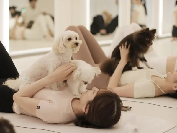 愛犬と一緒に「ととのう」新習慣！広尾に常設ドッグヨガスタジオ「Dog Yoga MUKKU」がオープン