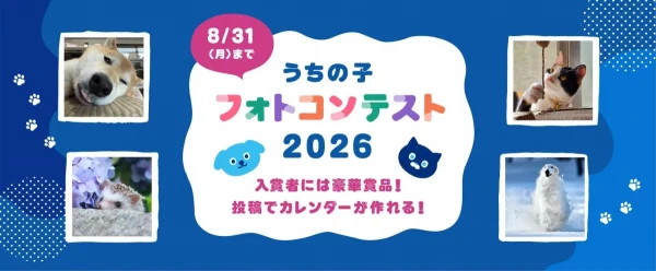 あなたの「うちの子」がカレンダーモデルに！第一アイペット「うちの子フォトコンテスト2026」開催中！