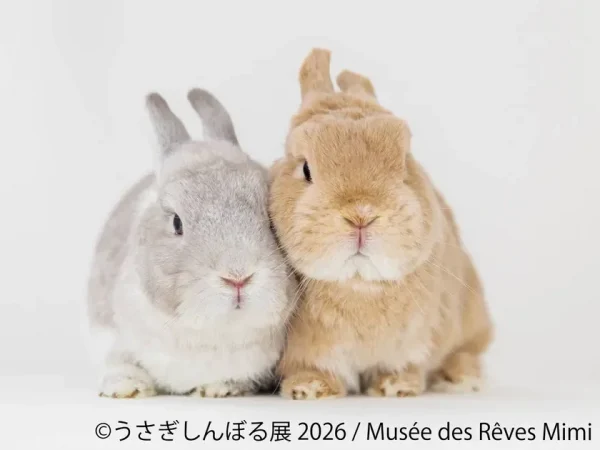 10周年“うさぎの祭典”が開幕！「うさぎしんぼる展 2026」が東京・名古屋で開催決定！