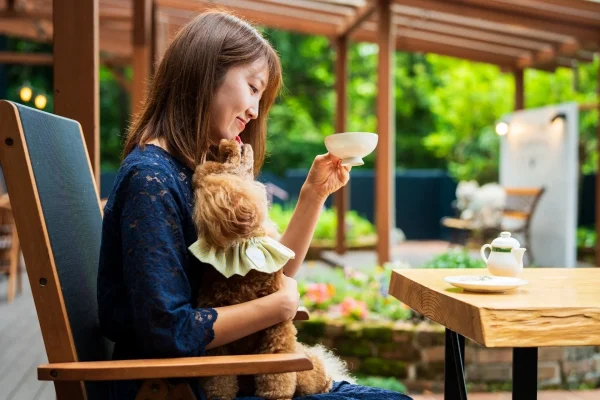愛犬との別府旅がもっと楽しく！「別府 丘と海のドッグリゾート」でカフェ＆屋内ドッグランの日帰り利用がスタート