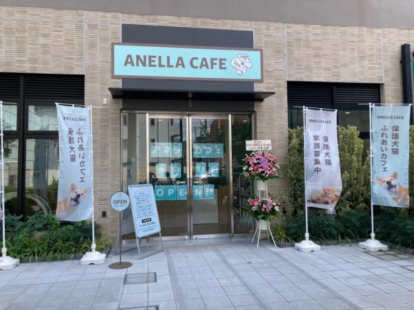 神奈川に癒やしの新スポット！「ANELLA CAFE 伊勢佐木町店」がオープン！ワンちゃん・猫ちゃんと心温まるひとときを