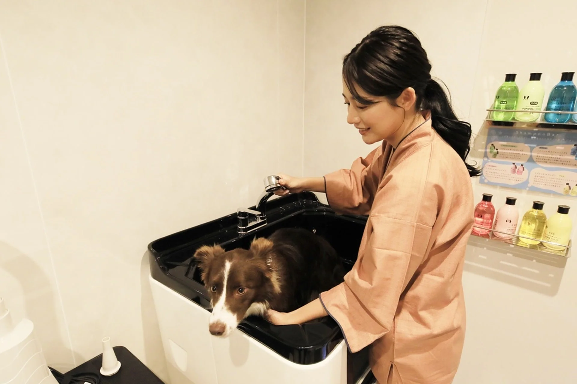 女性が犬をシャンプーする
