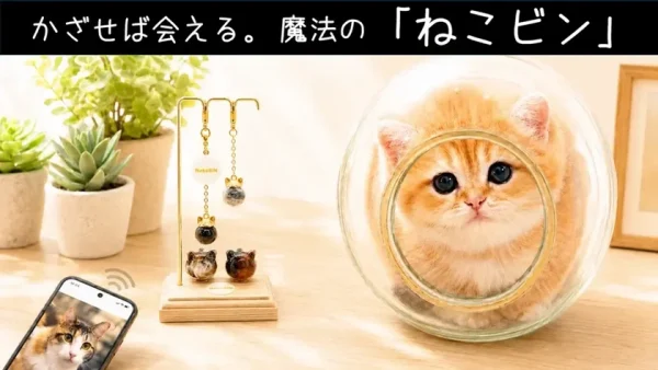 触れる温もり、かざせばあの姿！愛猫の思い出をずっとそばに置ける『ねこビン』がMakuakeに登場！