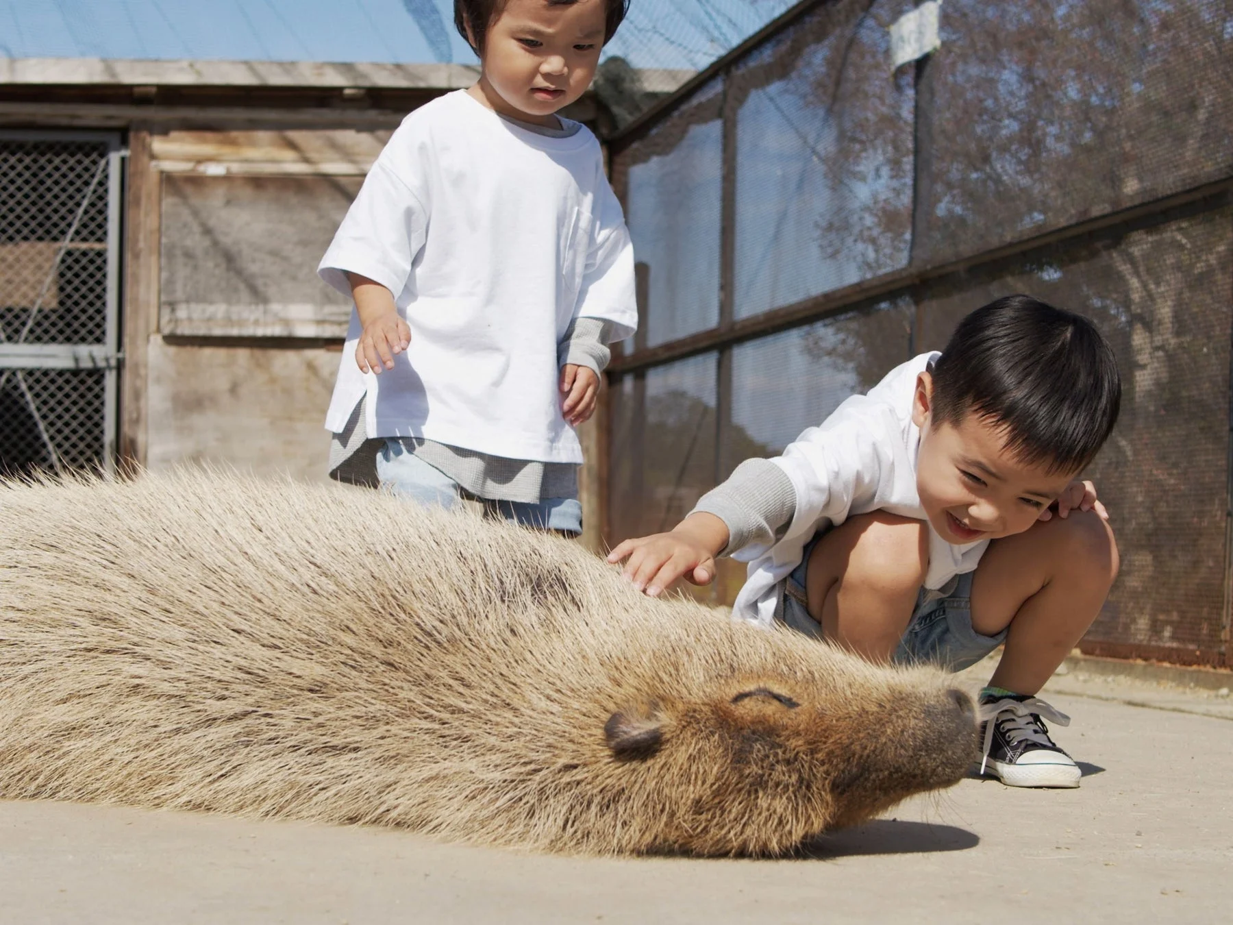 カピバラと触れ合う子供たち