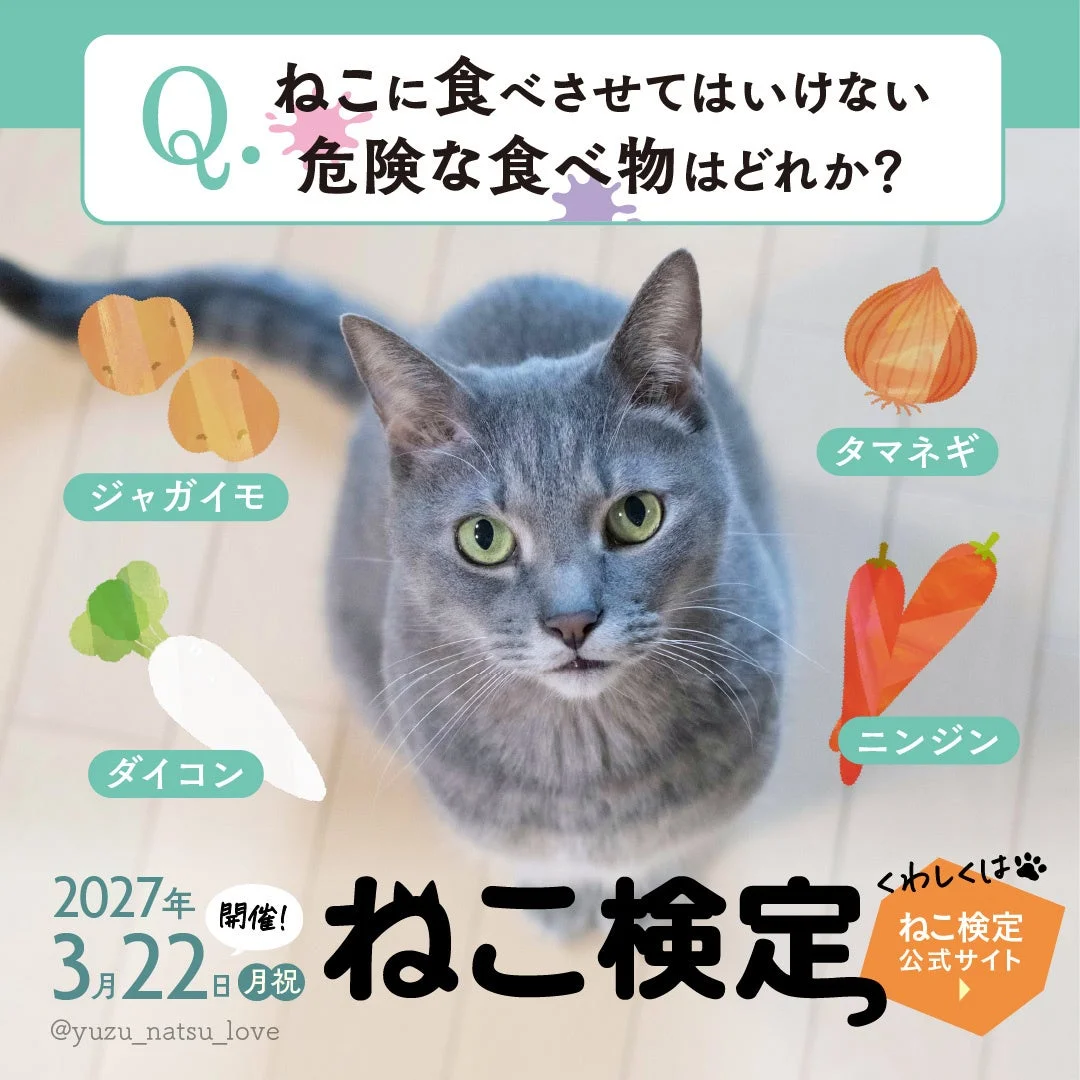 猫に与えてはいけない危険な食べ物を選ぶクイズ形式の画像