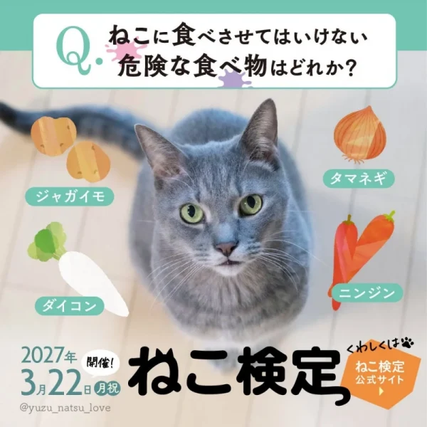 猫愛を深めるチャンス！「ねこ検定」が10回目の開催、今すぐ申し込みでスペシャル特典も！