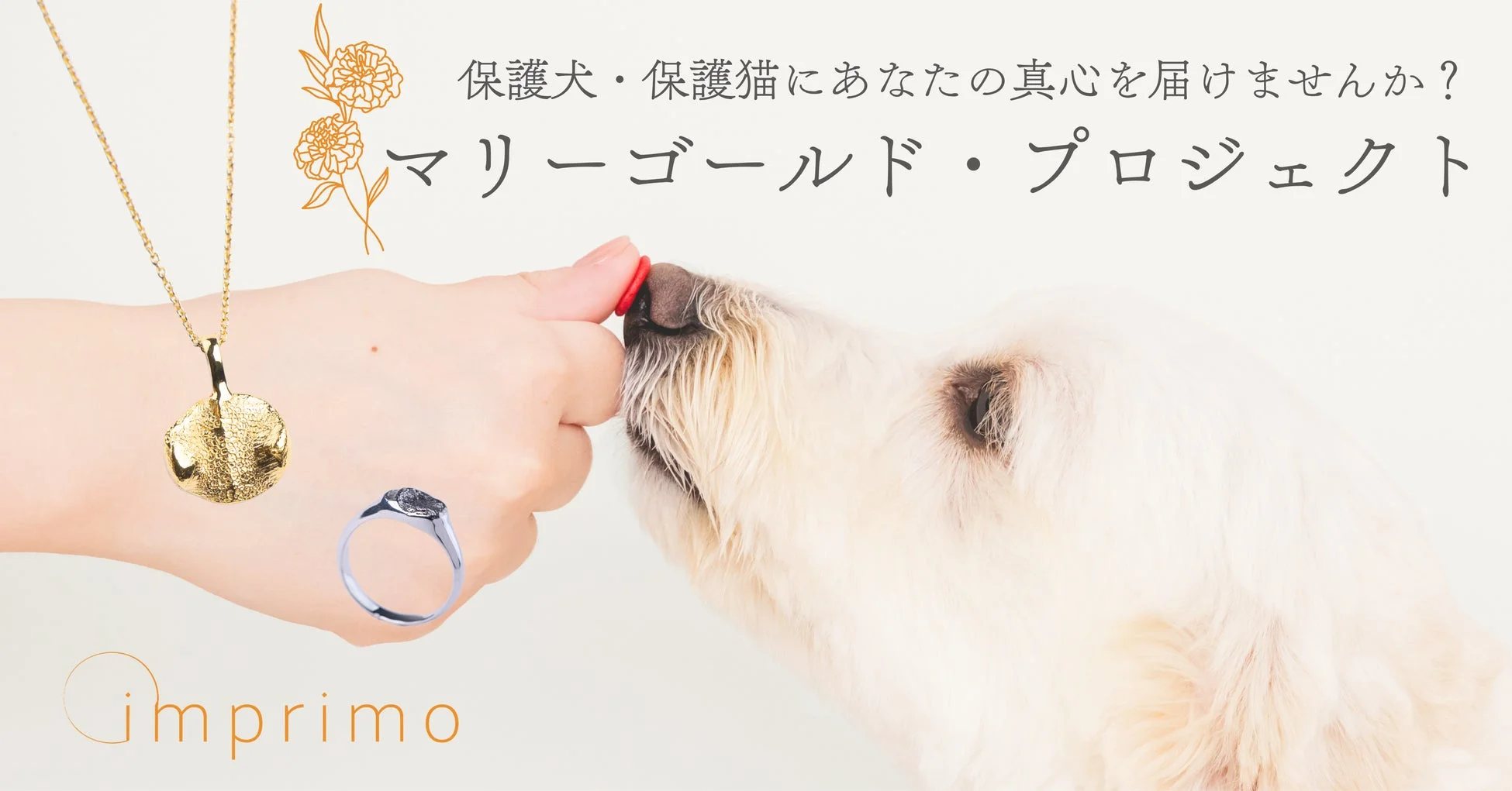 保護犬・保護猫支援をテーマにした「マリーゴールド・プロジェクト」の告知画像