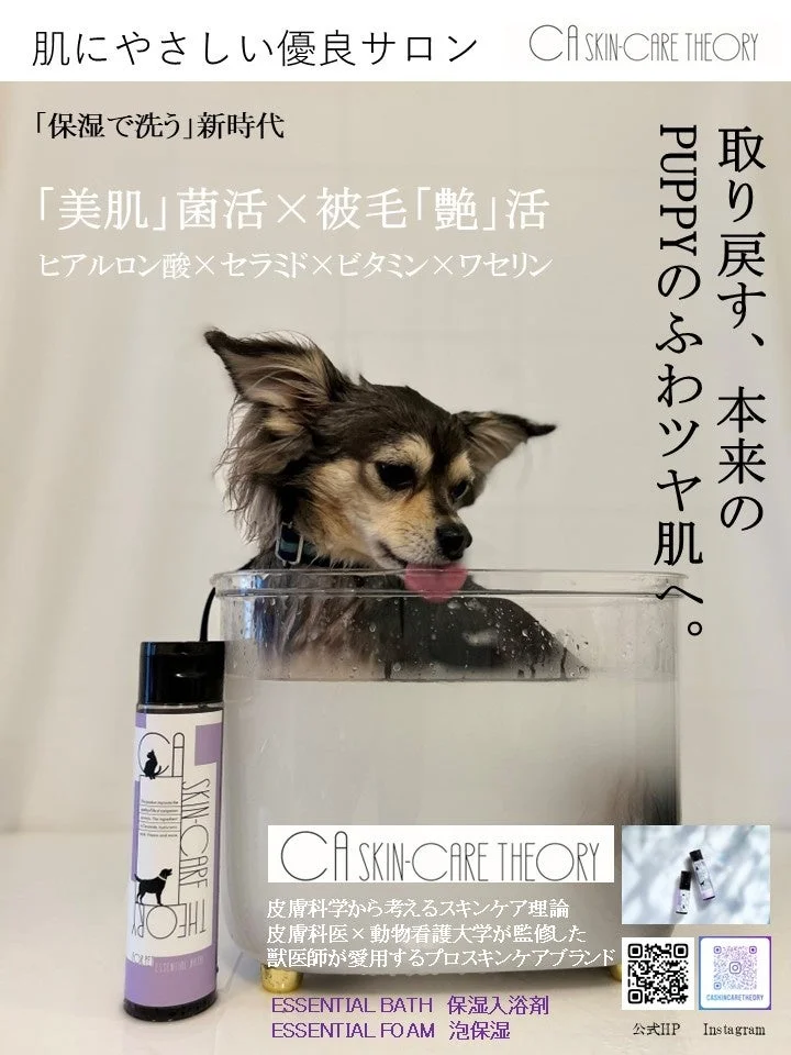 保湿入浴剤でケアされているチワワの広告