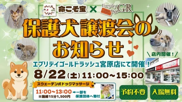 暑さ知らずで安心！冷房完備の室内で「保護犬譲渡会」開催決定！新しい出会いが待ってるかも！