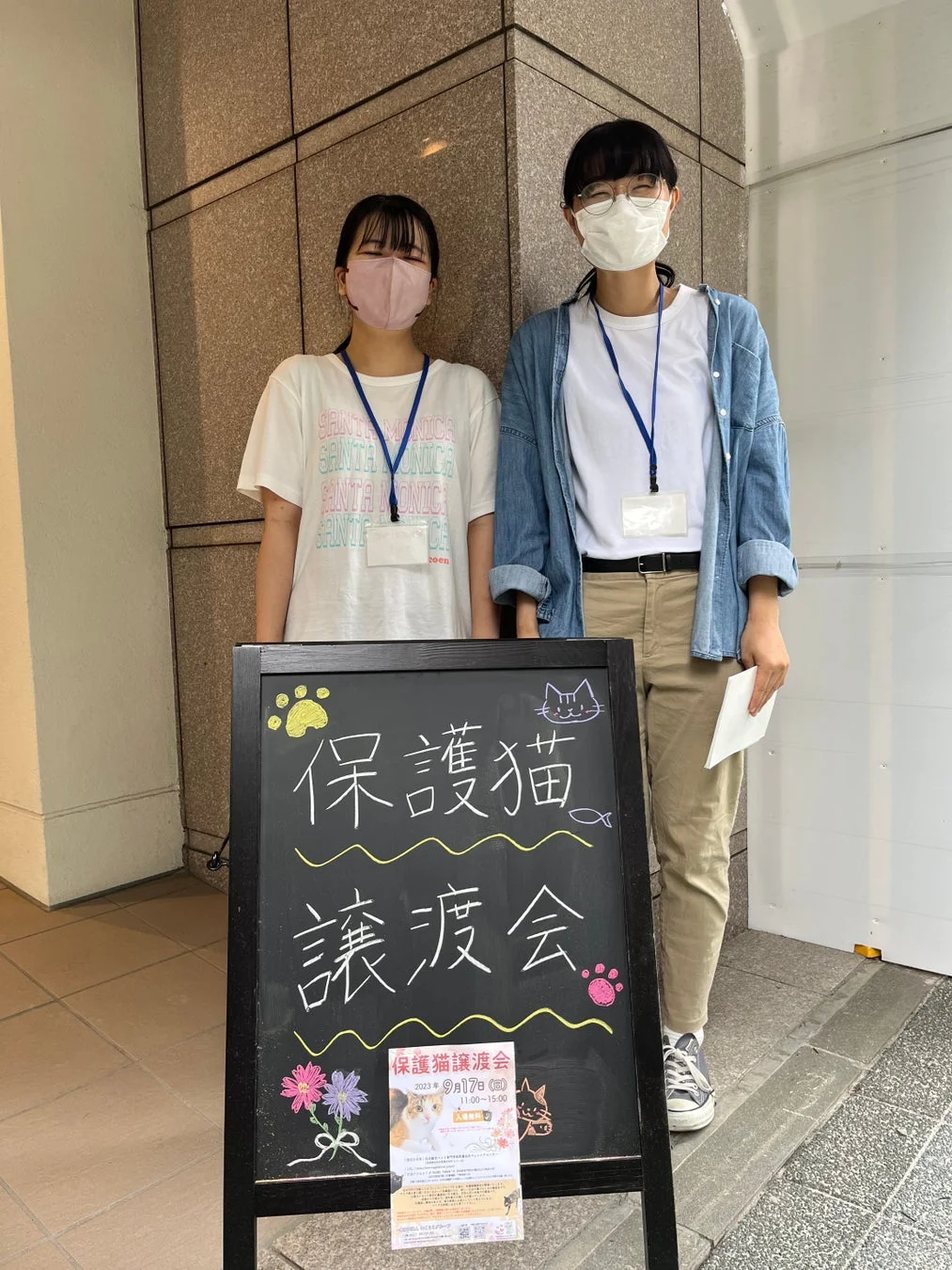 保護猫譲渡会の様子