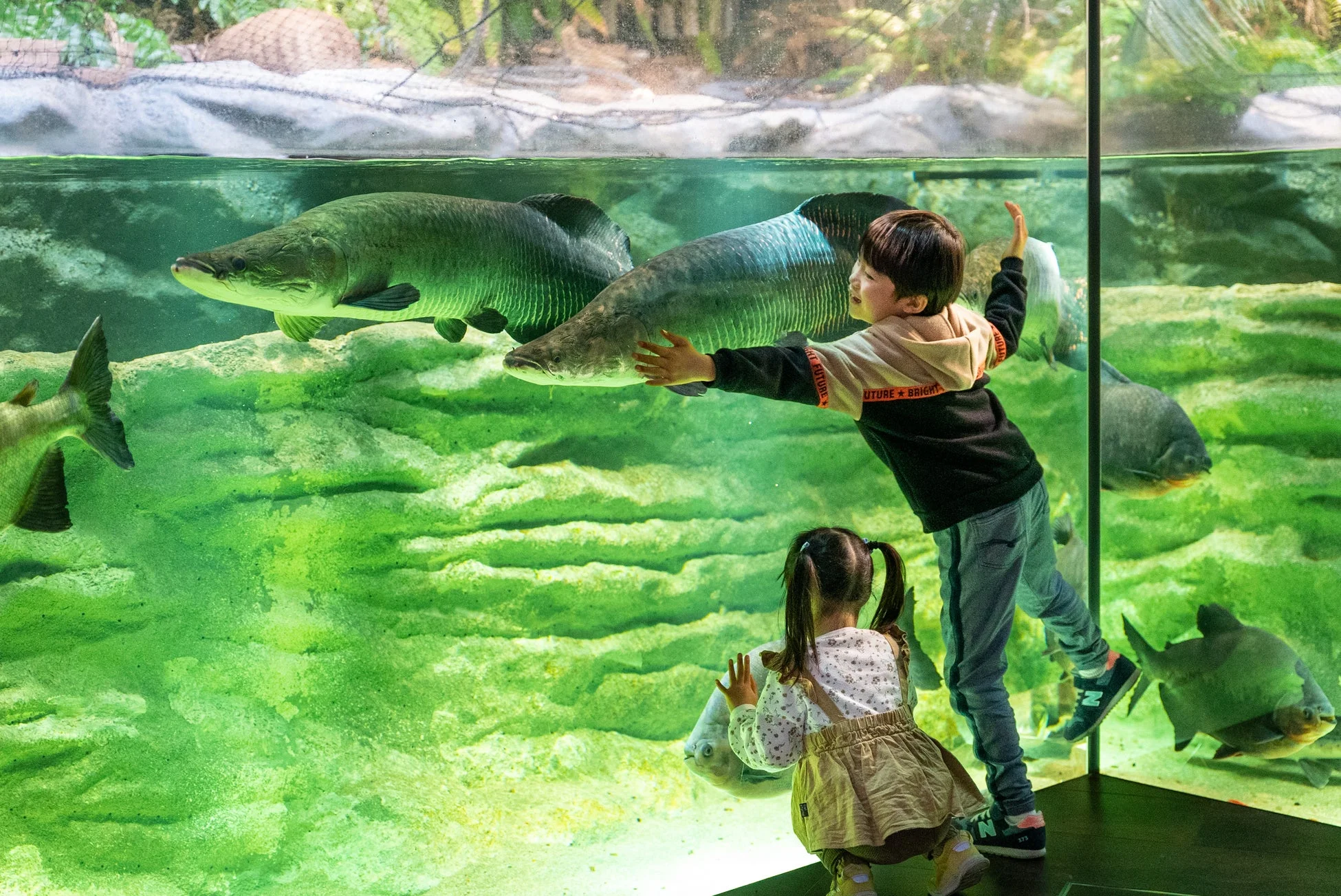 水族館の子供たち