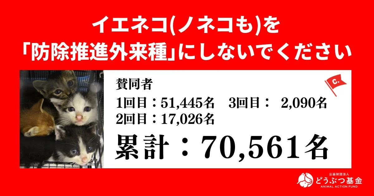 イエネコ(ノネコも)を「防除推進外来種」にしないでください 公益財団法人 どうぶつ基金 ANIMAL ACTION FUND