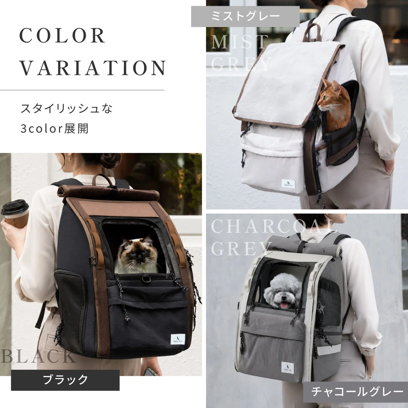 カラーバリエーション