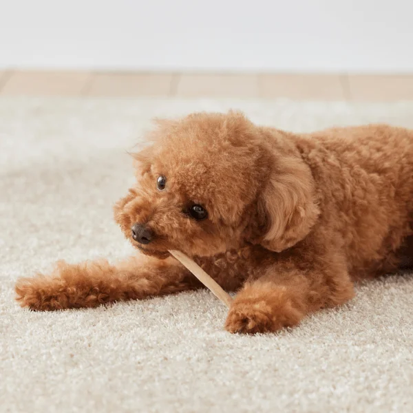 犬用おやつ「毎日カミカミ おくちと体の健康スティック」