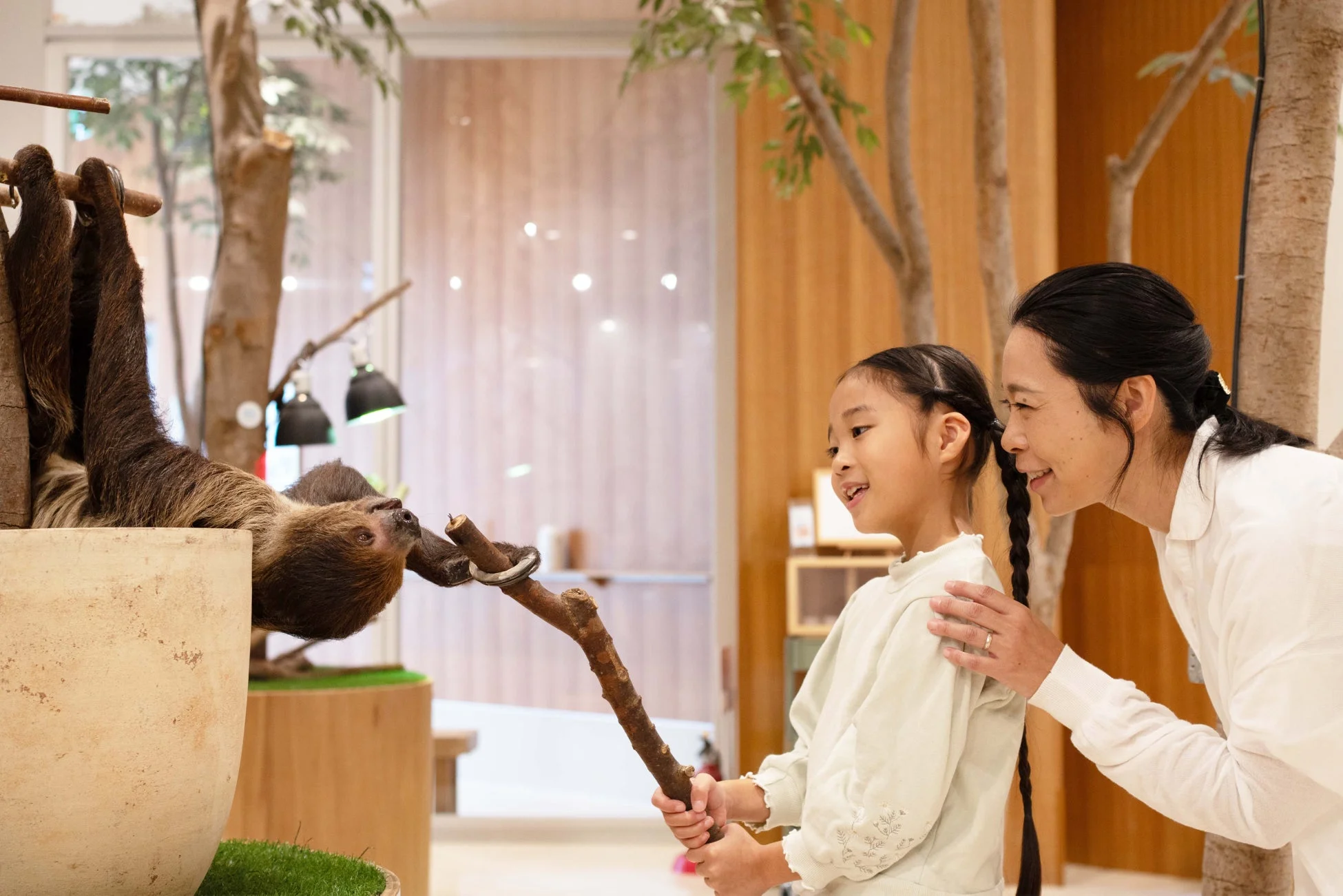 ナマケモノとふれあう子供