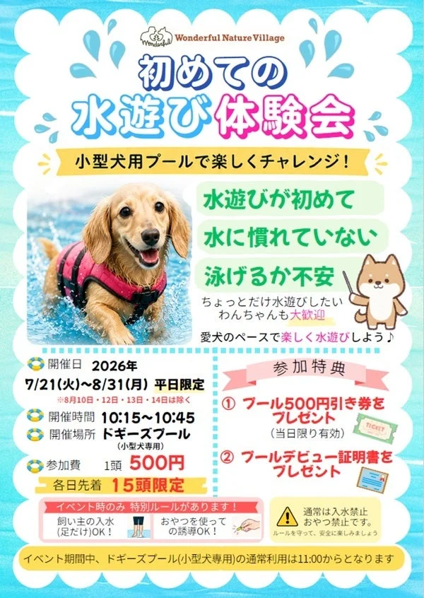 水遊び体験会告知