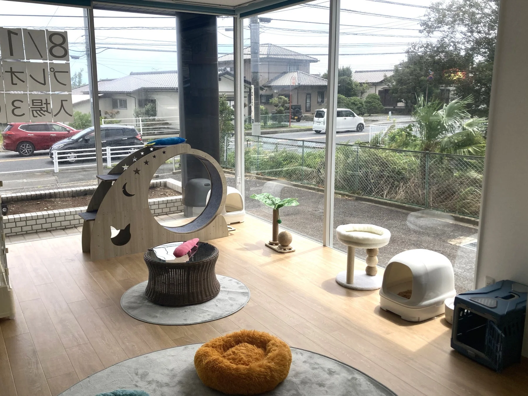 ANELLA CAFE 猫用遊具のある広々空間