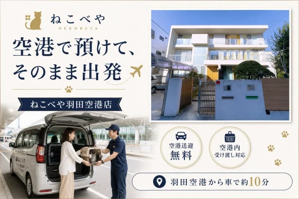 夏の旅行は猫ちゃんも一緒に！羽田空港でラクラク預けて出発！「ねこべや羽田空港店」が空港受け渡しを強化