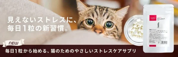 猫の「見えないストレス」に寄り添う新習慣！「乳酸菌H61株」配合サプリが登場