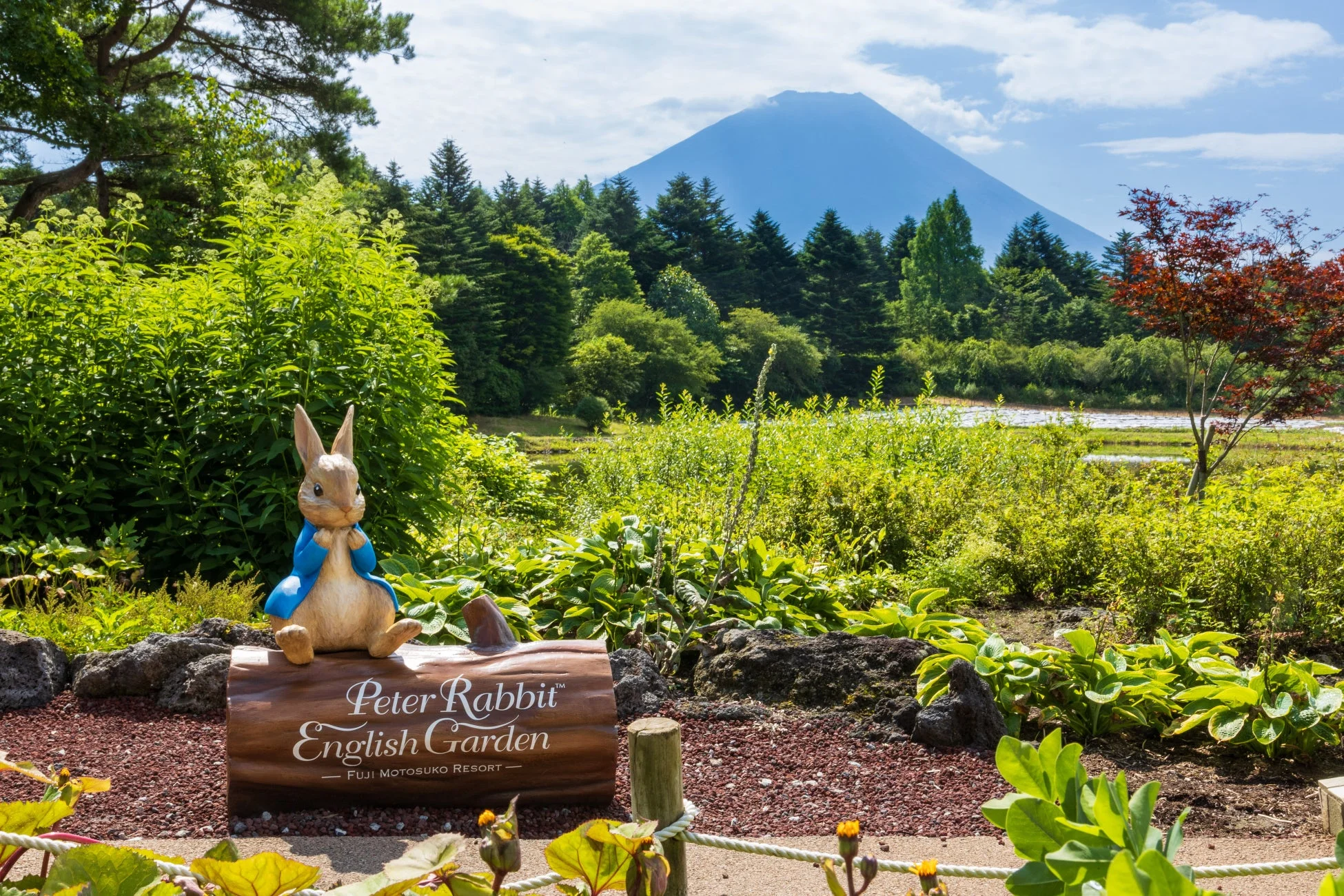 ピーターラビット像とイングリッシュガーデン、富士山