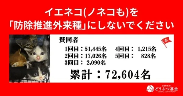 環境省の方針転換も「ノネコ」「ノイヌ」表記は残る…どうぶつ基金が新たな意見書と公開質問状を提出！