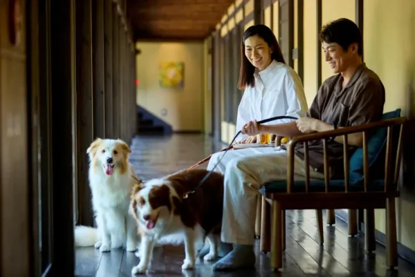 愛犬と一緒に赤城山へ！「古民家リトリート 赤城山 – 懐 -」開業1周年記念プランで愛犬2頭まで宿泊無料＆ごはんプレゼント！