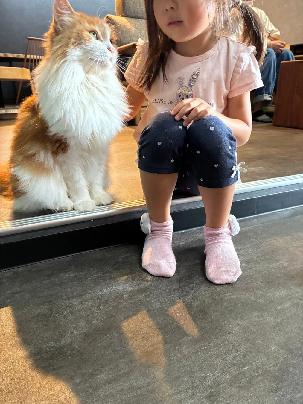 ふわふわの大きな猫と女の子が並んで座る様子