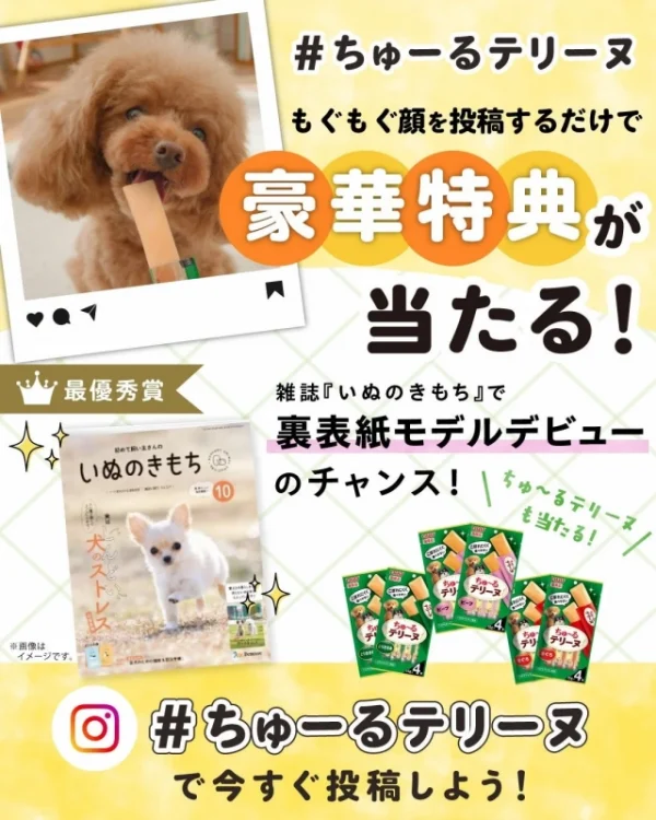 愛犬が「いぬのきもち」裏表紙モデルに!? いなばペットフード「#ちゅーるテリーヌ」もぐもぐ投稿キャンペーン開催中！