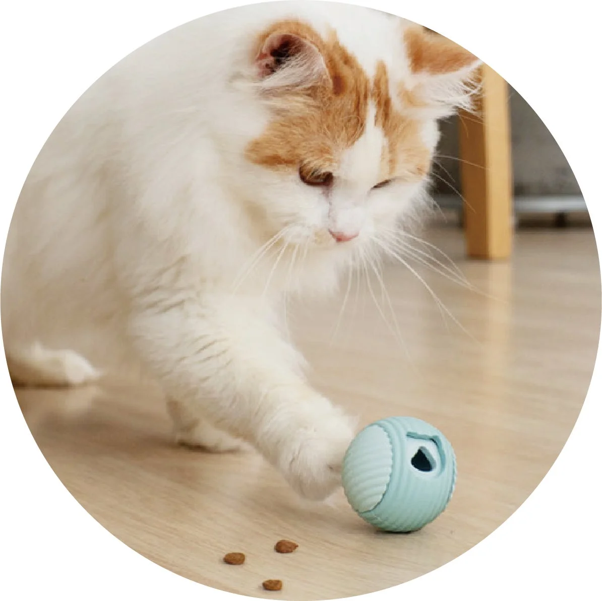 電池不要の猫用知育玩具