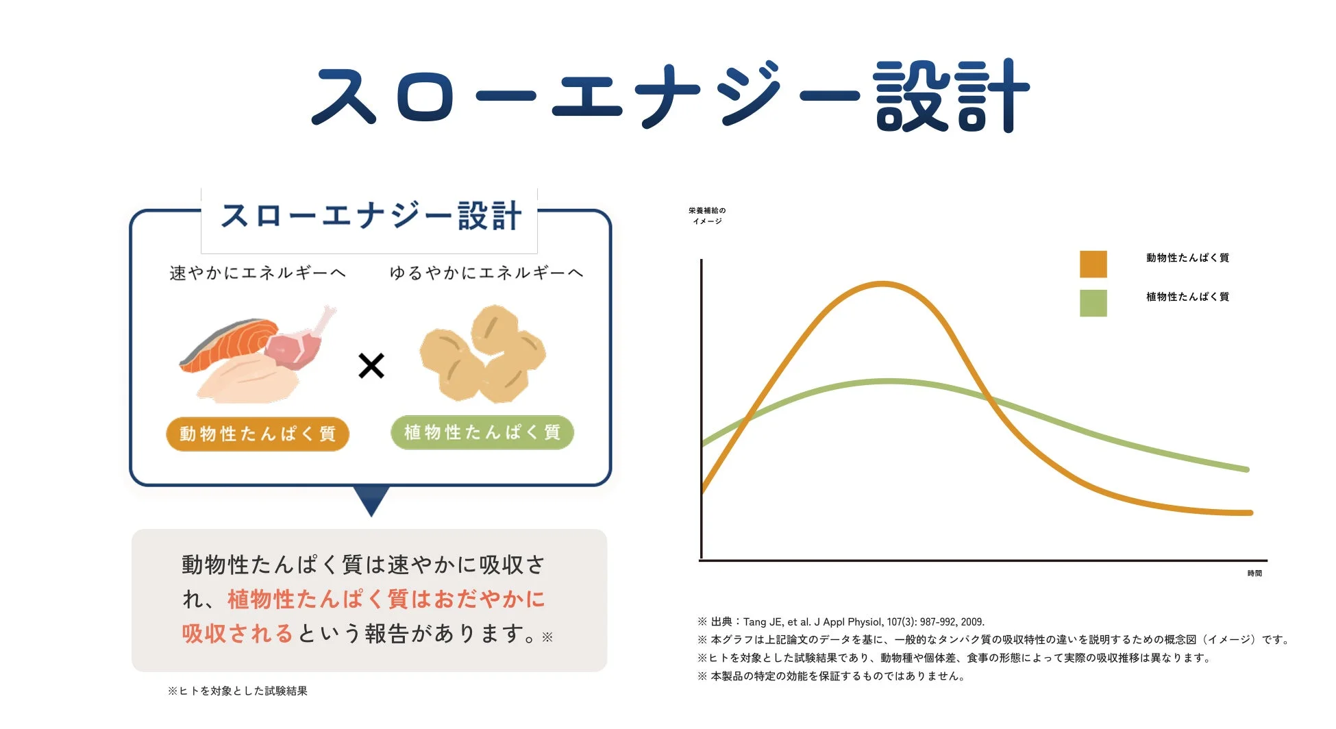 動物性たんぱく質と植物性たんぱく質の吸収速度の違いを「スローエナジー設計」の観点から説明する図。動物性は速やかに、植物性はゆるやかに吸収されることをグラフとテキストで示し、出典も明記しています。