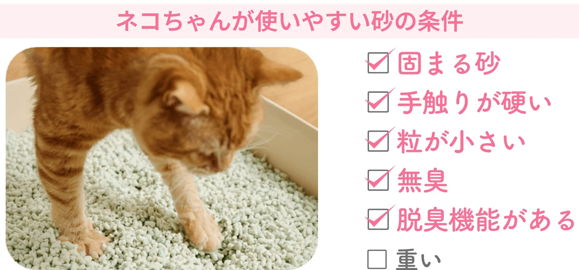 猫と猫砂の条件