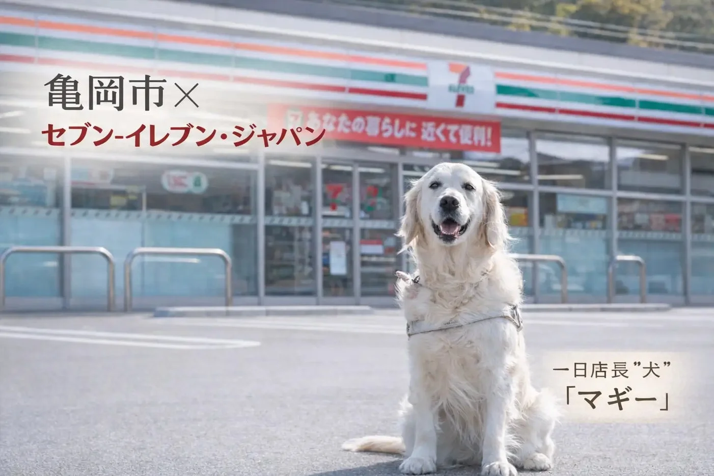 一日店長犬マギーちゃん