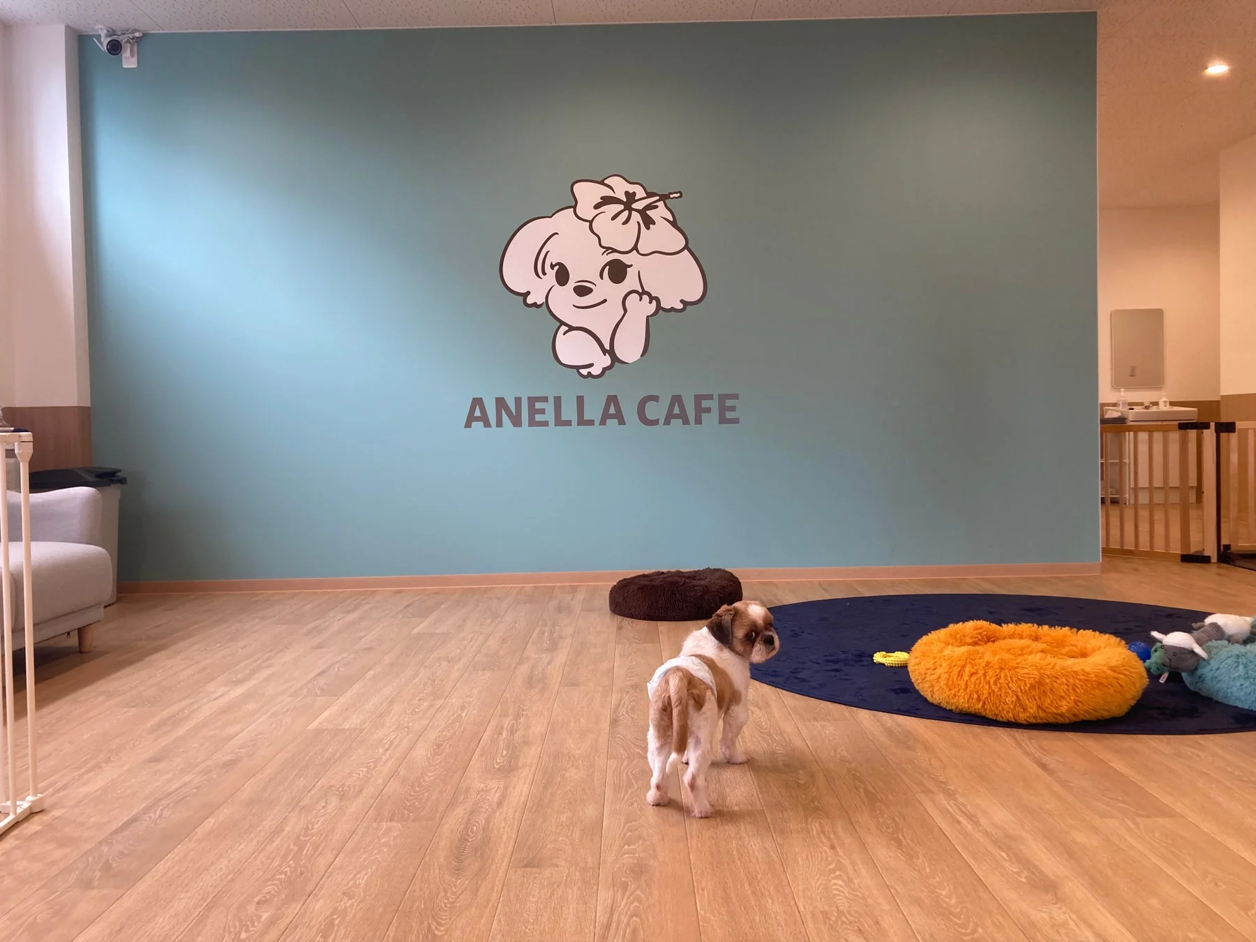 ANELLA CAFE 店内の様子