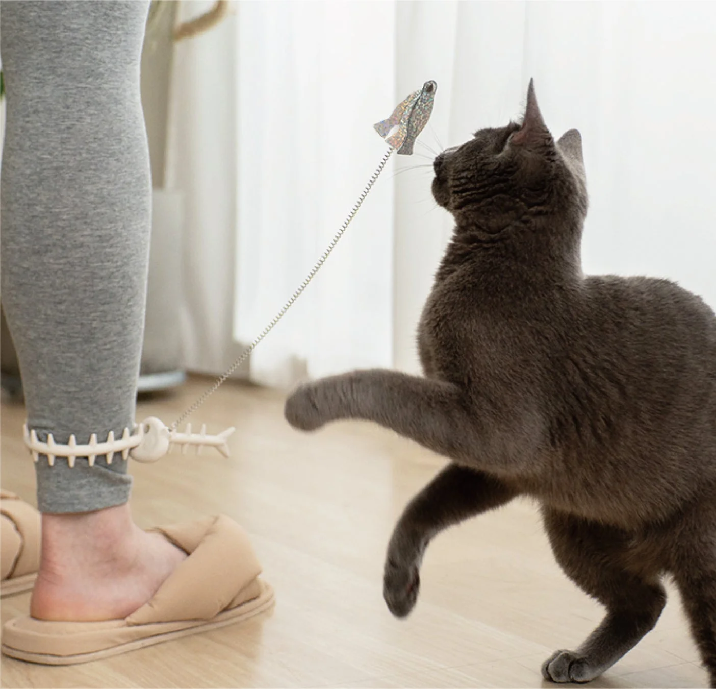 足首に付けたおもちゃで遊ぶ猫
