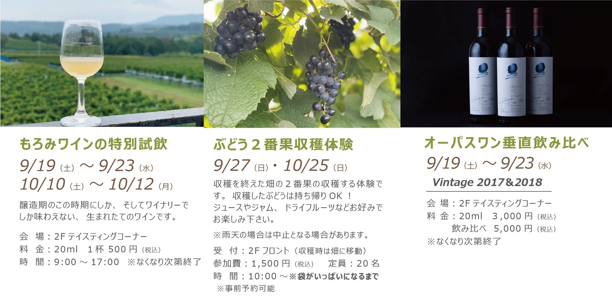 もろみワイン特別試飲、2番果収穫体験、オーパスワン垂直飲み比べのイベント詳細