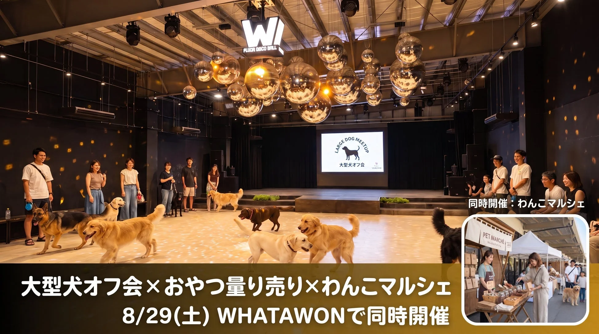 ディスコボールが飾られた広い屋内会場で、大型犬とその飼い主たちが集まるオフ会