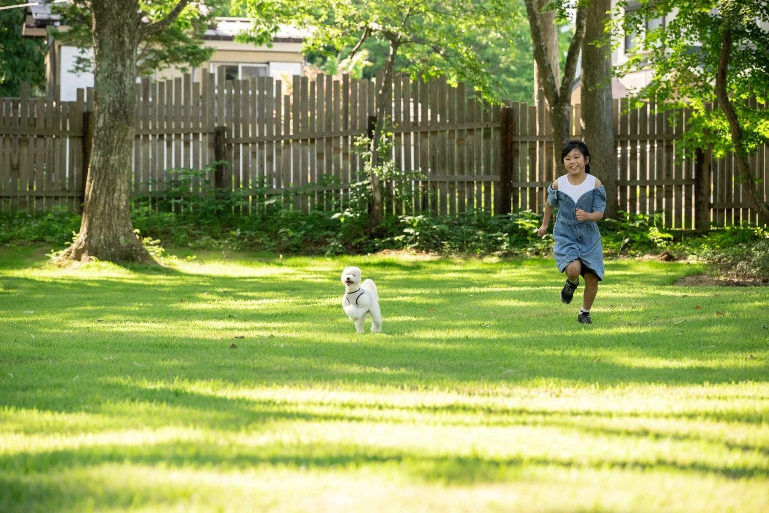 子供と犬が芝生で遊ぶ