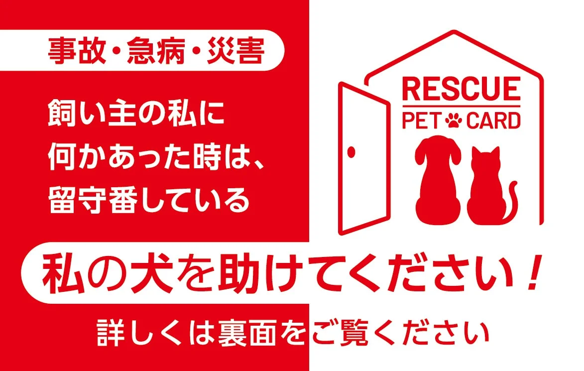 RESCUE PET CARD（犬用デザイン）