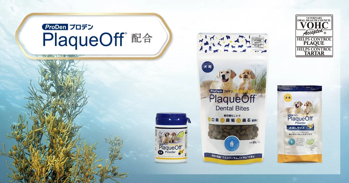 デンタルケア製品