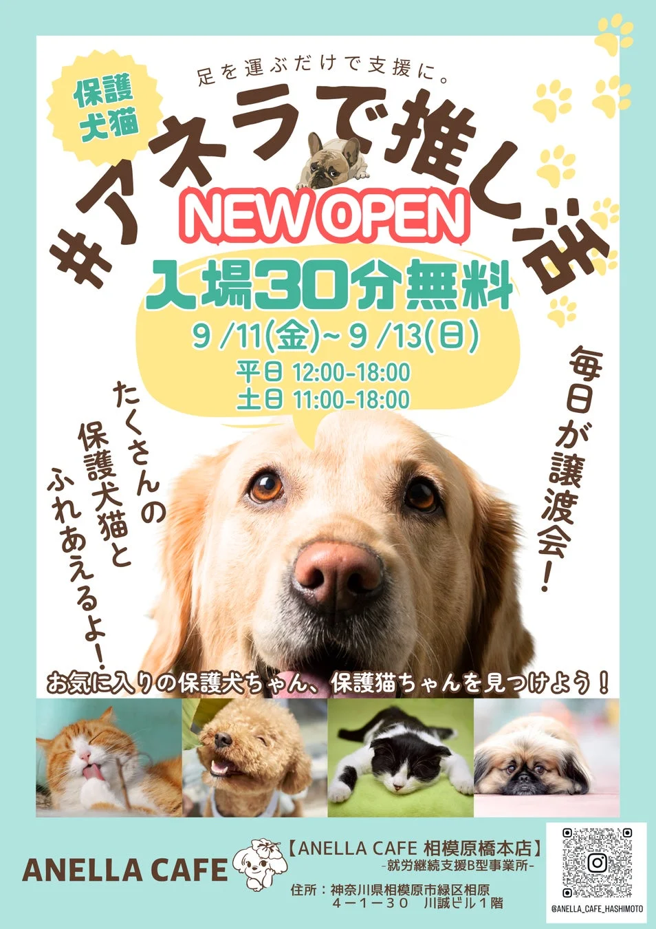 オープン記念キャンペーンのポスター