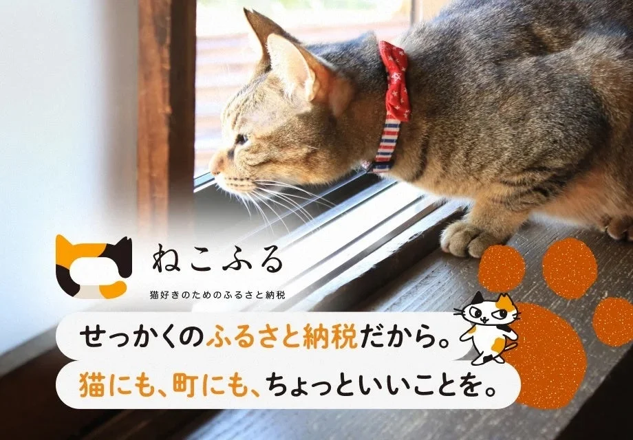 窓の外を眺める猫とキャッチコピー