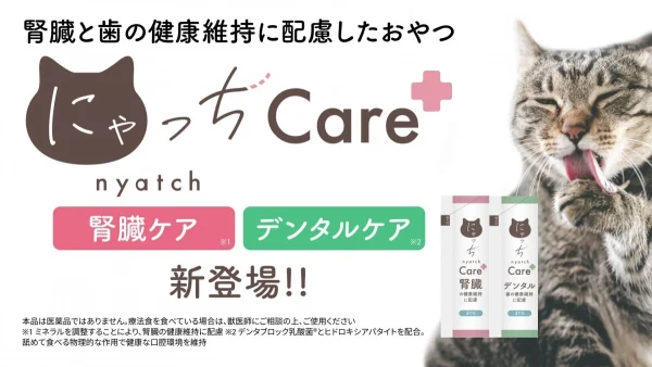 愛猫の健康を毎日のおやつでサポート！「にゃっちCare+」から腎臓・デンタルケアの2種が新登場！