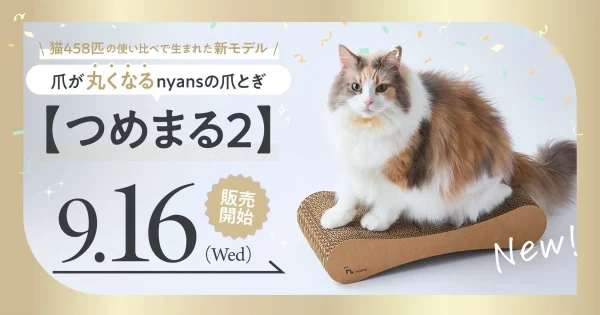 猫ちゃん458匹が選んだ爪とぎ！【つめまる2】が本日9月16日(水)に2,222台限定で新登場だよ！