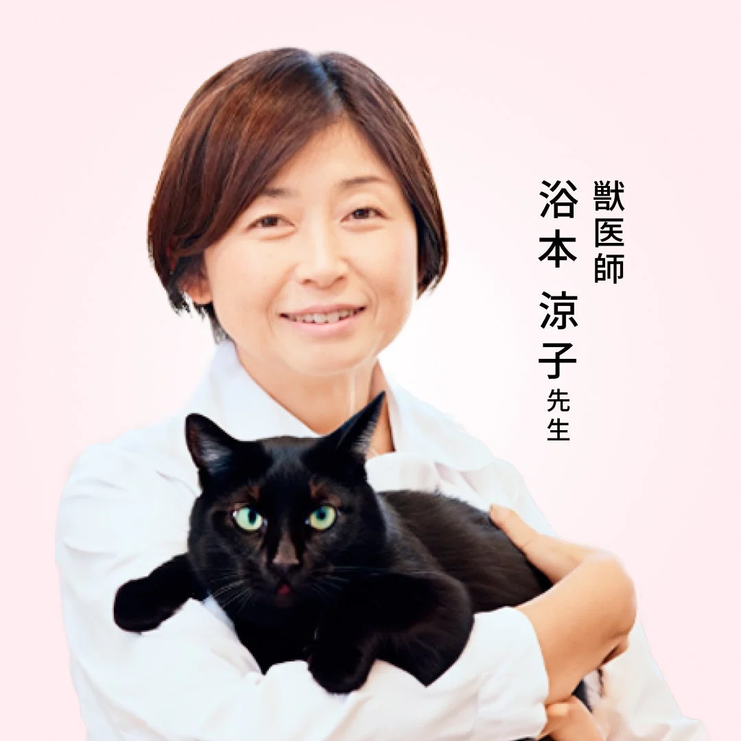 獣医師 浴本 涼子 先生