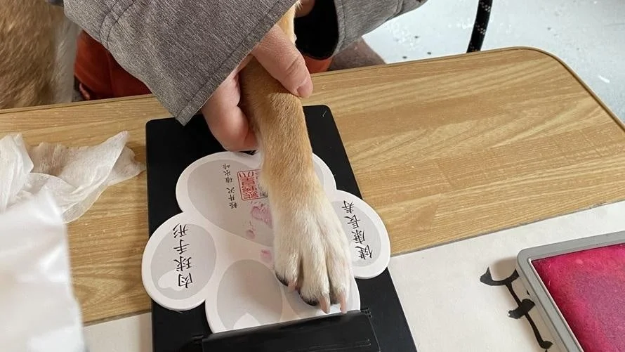 犬の肉球手形
