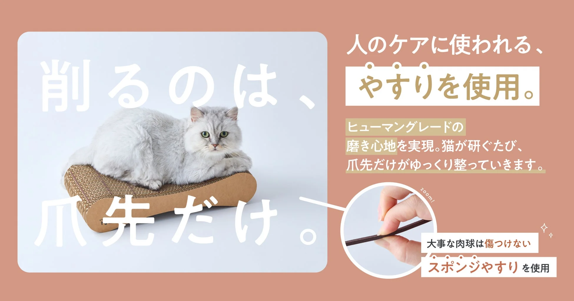 猫が爪とぎボードの上でくつろいでいる画像です。人のケアにも使われるヒューマングレードのスポンジやすりを使用し、肉球を傷つけずに爪先だけを優しく整えることができる製品であることをアピールしています。