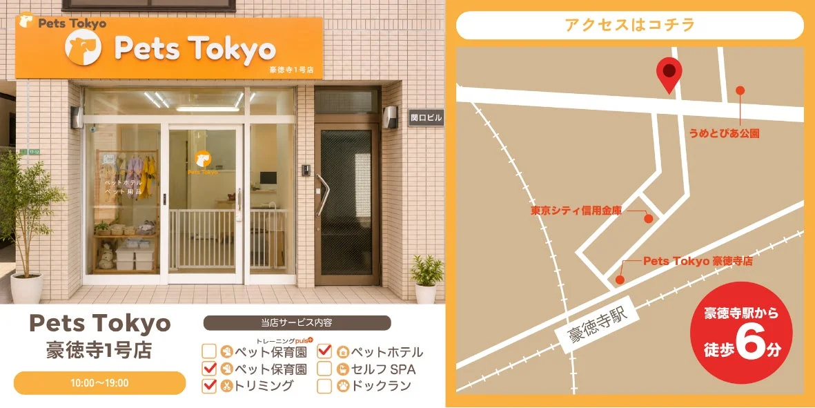 Pets Tokyo 豪徳寺1号店の外観と地図