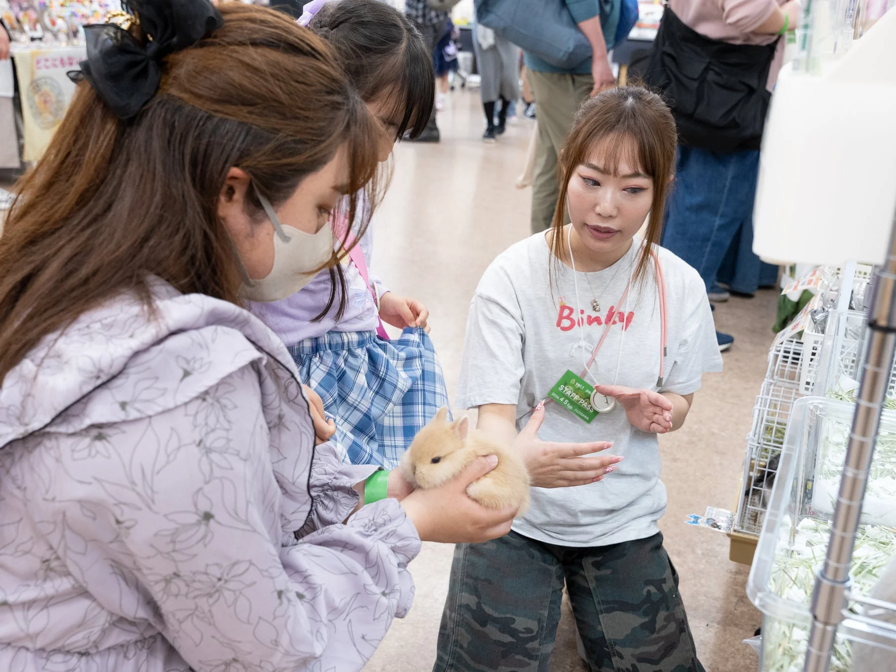 うさぎの抱き方を学ぶ人々
