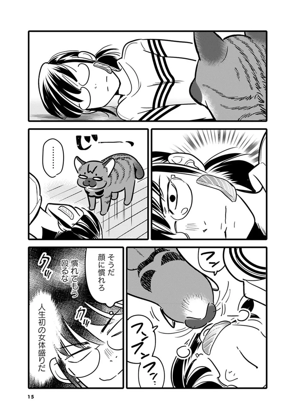 顔に慣れろのコマ